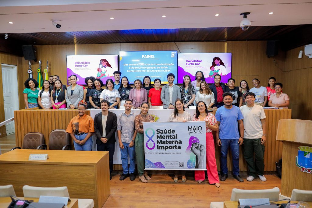 Câmara Municipal de São Luís realiza painel sobre saúde mental materna