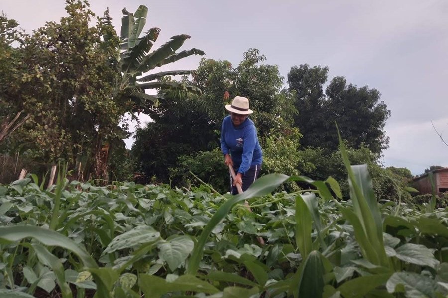 Projeto Terras Para Elas prevê apoio a 5mil trabalhadoras agrícolas
