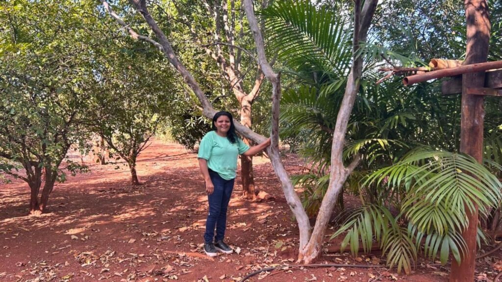 Produtora rural do MA sai do cultivo manual de goiaba para produção de oito mil quilos de polpa por ano